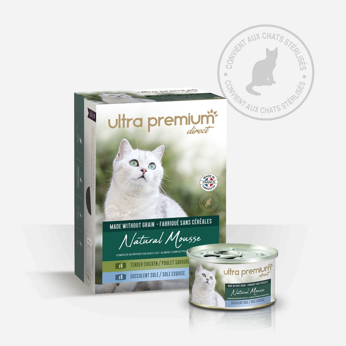 chat maine coon alimentation chatterie makatea maine coon