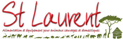 St Laurent alimentation chat Maine Coon viande crue
