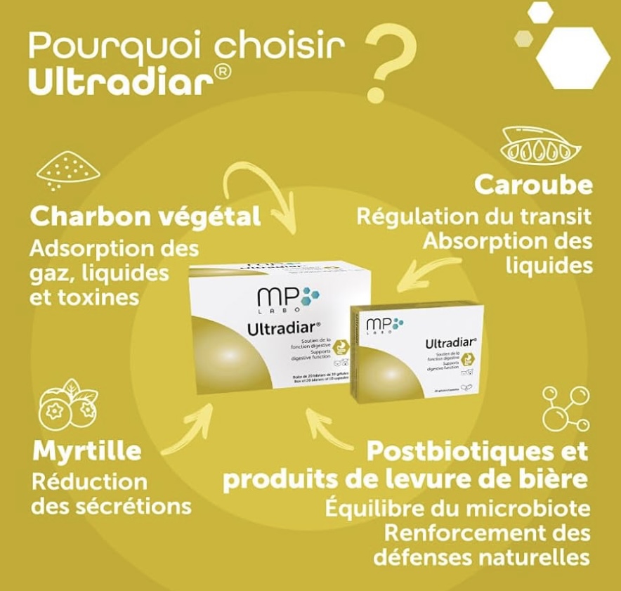 A vendre maine Coon xxl Chatterie Makatea 