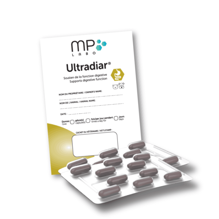 à vendre chatons maine coon xxl Chatterie Makatea élevage et chatons à vendre